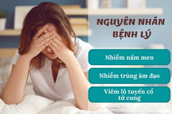 Nguyên nhân bệnh lý khiến khí hư ra nhiều