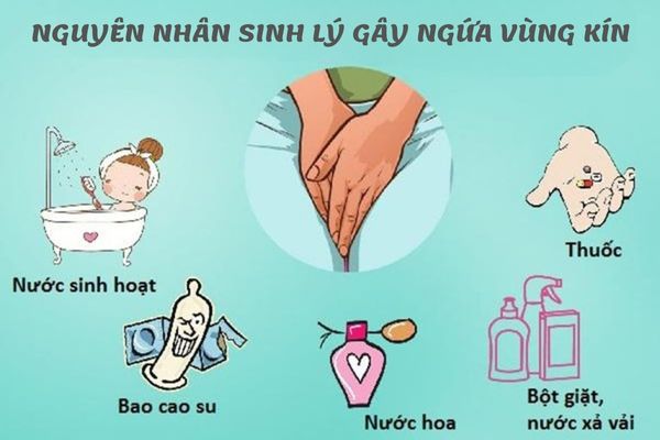 Nguyên nhân sinh lý gây nên ngứa rát vùng kín