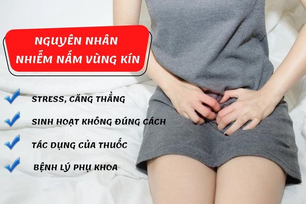 Nguyên nhân gây nấm vùng kín