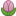 Tulip-symbol