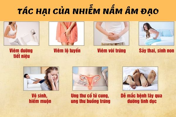 Nấm âm đạo gây ra nhiều biến chứng nguy hiểm neeys không được điều trị hiệu quả