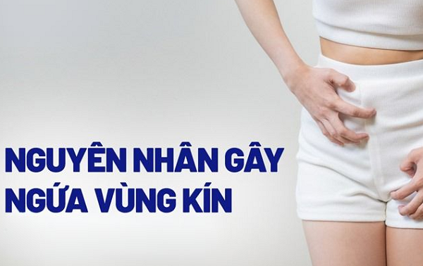 Nguyen-nhan-gay-ngua-vung-kin