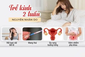 Trễ kinh 2 tuần có sao không? Nguyên nhân trễ kinh 2 tuần