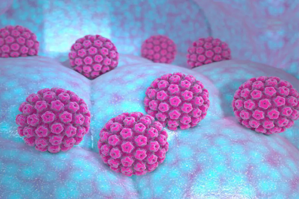HPV một loại virus lây lan phổ biến qua đường tình dục và là chủng virus gây bệnh ung thư
