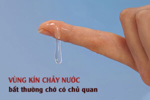 Vùng kín bị chảy nước là do đâu? Có nguy hiểm không?