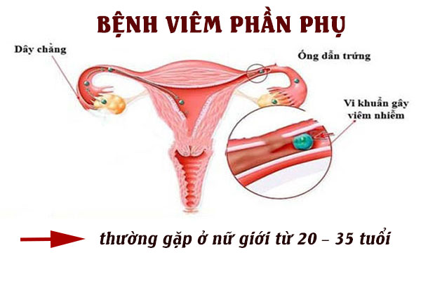 Viem-phan-phu-1